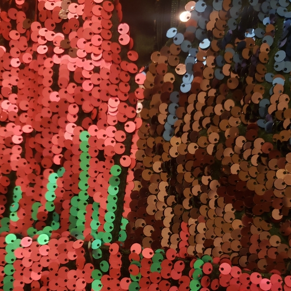 Southern Fried Chics. Sequin dress! GORG colors! Size XXL - Picture 5 of 6